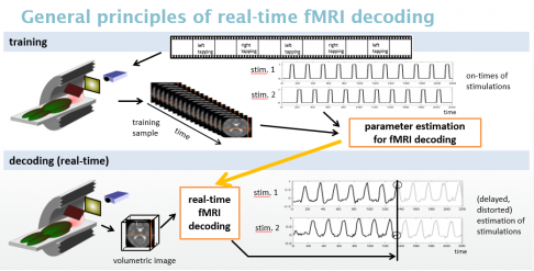 Multivariate Echtzeit-fMRT-Dekodierung_1.png