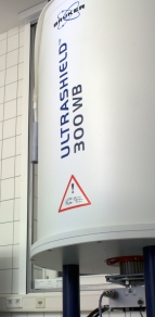 7T_NMR_long 7T_NMR_long